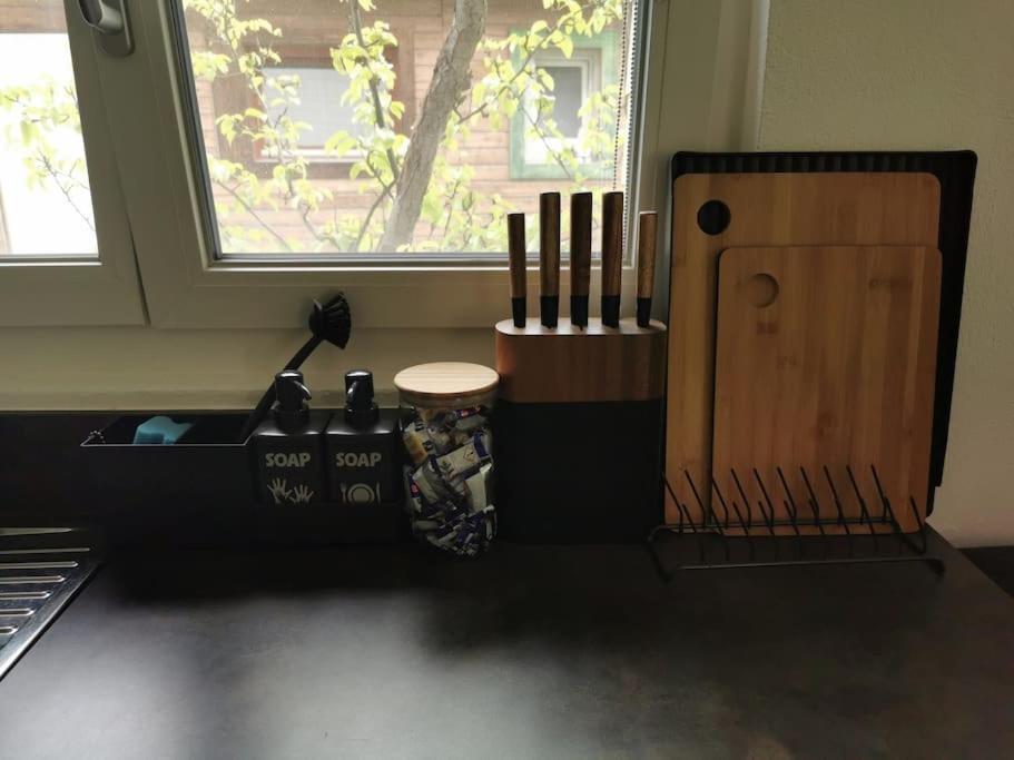 Schones Kleines Studio Mit Sitzplatz, Mitten Im Prattigau Jenaz Eksteriør billede
